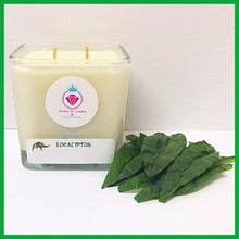 EUCALYPTUS, THE PERFECT PAIR